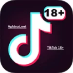 TikTok 18+