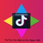 TikTok Sin Marca De Agua Apk