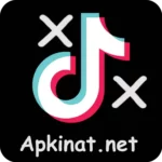 X TikTok App